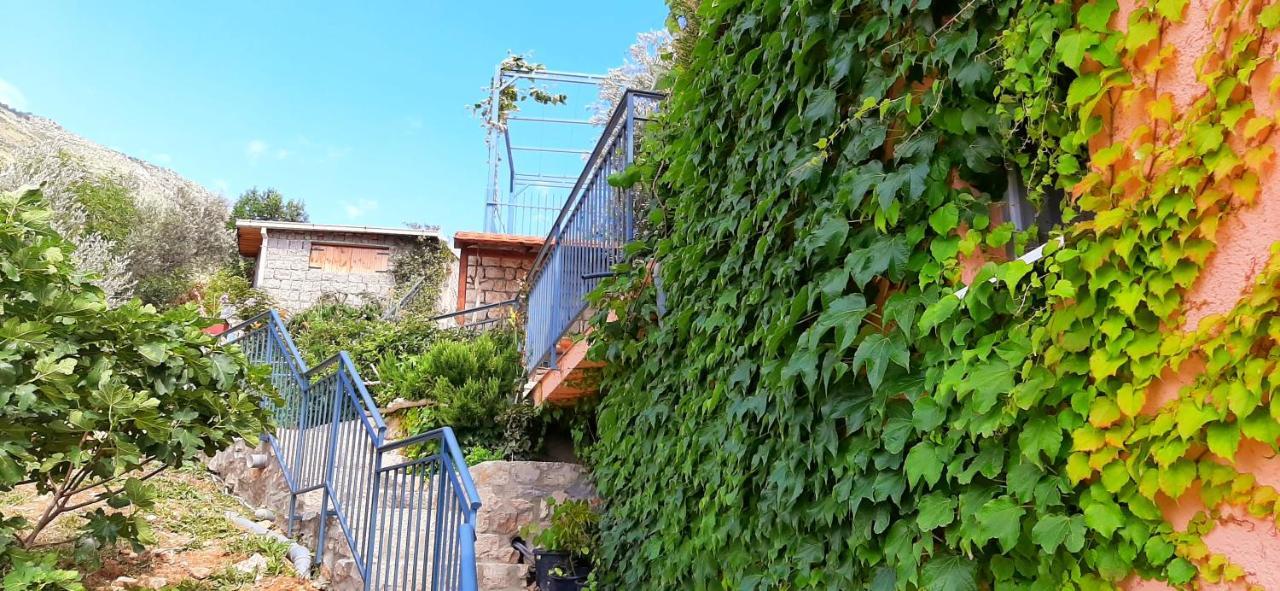 Blue Mediterranean Apartments سفيتي ستيفان المظهر الخارجي الصورة