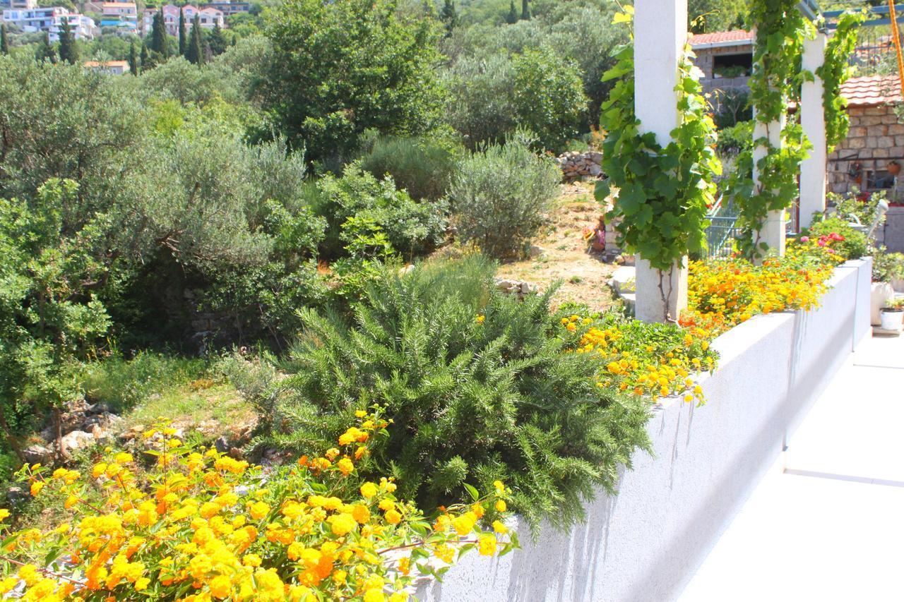 Blue Mediterranean Apartments سفيتي ستيفان المظهر الخارجي الصورة
